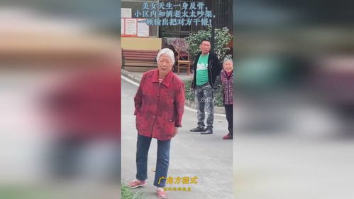  短剧夫人一身反骨全集观看--第1张