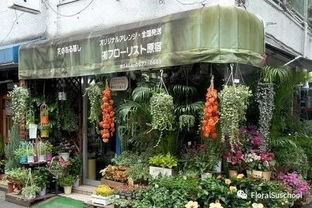  离我最近花店位置--第1张