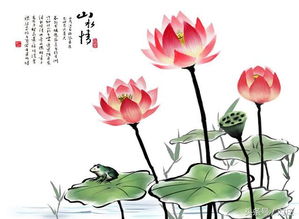  荷花寓意死人？这究竟是怎么回事？--第1张