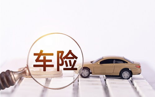 车险怎么买合适_车险怎么买合适划算--第1张