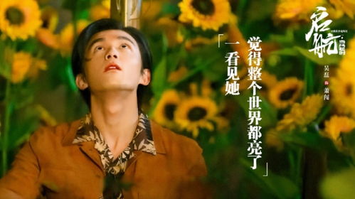  红色康乃馨电视剧全集，一部引人入胜的现代情感剧--第1张