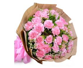  康乃馨鲜花图片大全--第1张