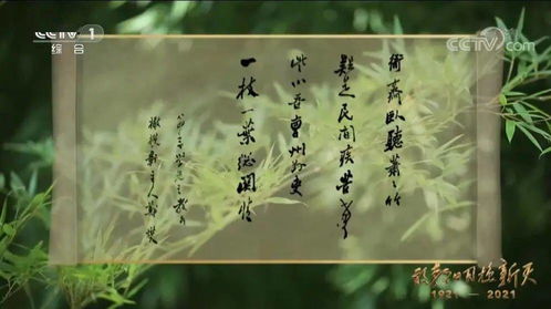  短剧叶总来生不愿再相见全集观看--第1张