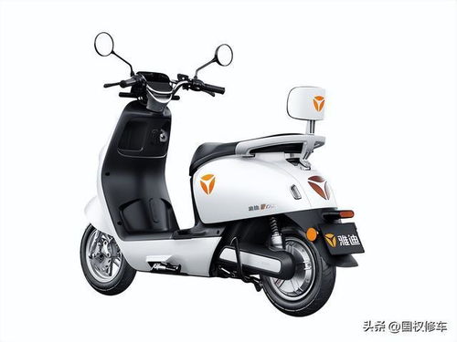 电动车哪个牌子好耐用_什么牌子的电动车最好--第1张