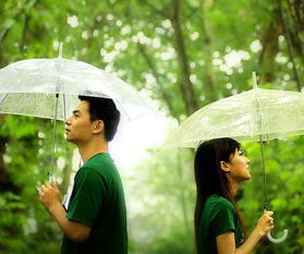  离婚后我强的可怕全集观看，离婚后我强的可怕全集免费观看--第1张