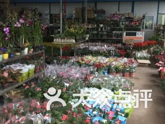  吉林市鲜花店电话大全，一站式购花服务，让你的生活更美好--第1张