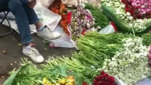  花卉批发市场，各种花卉批发价格和图片--第1张