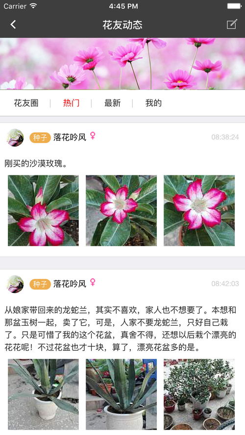  中国花卉报APP，引领花卉行业的数字化新篇章，中国花卉报APP，花卉行业数字化新篇章的引领者--第1张