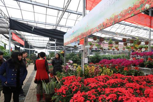  西安花卉市场在哪--第1张