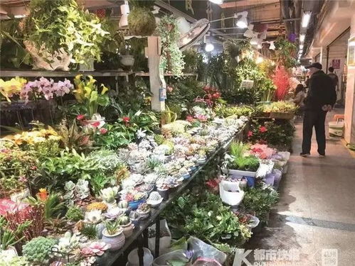  哪里可以购买鲜花？--第1张