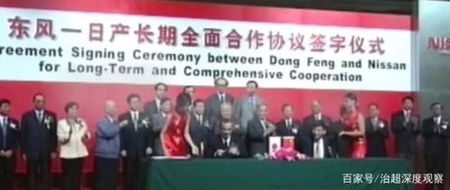  龙柏图片，自然之美与历史的见证--第1张