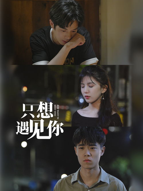  短剧遇见你以后全集观看--第1张