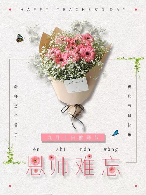  感恩老师送什么花--第1张