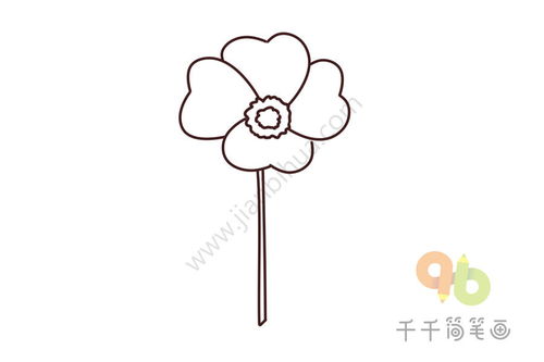  月光花图片简笔画--第1张