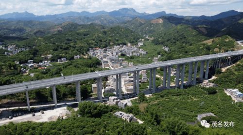  广州苗木基地，绿色生态的摇篮，美丽中国的希望--第1张