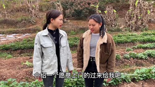  短剧美女的上门医婿全集观看，短剧美女的上门医婿全集观看--第1张