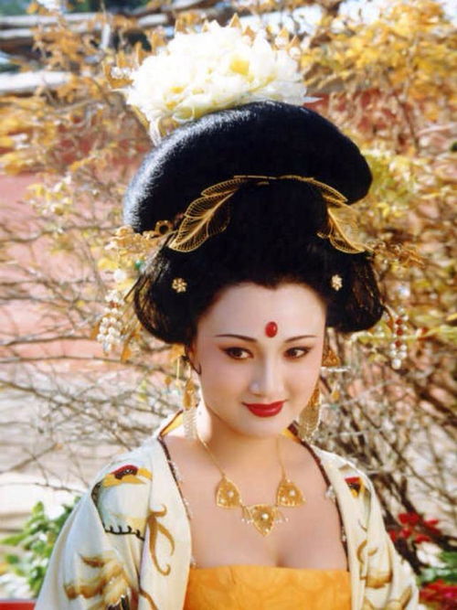  短剧贵妃娘娘当网红全集观看，贵妃娘娘如何成为网红界的翘楚--第1张