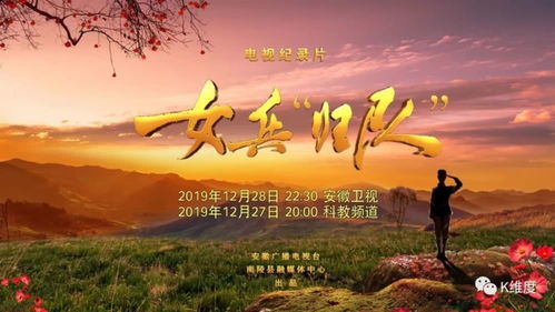  短剧寻亲全集，一场跨越时空的寻亲之旅，穿越时空的寻亲之旅，短剧寻亲全集--第1张