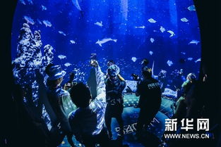  短剧原来深海没有光全集观看--第1张