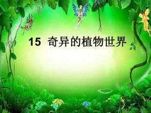  神奇的植物传播种子，从实例看种子旅行的奥秘--第1张