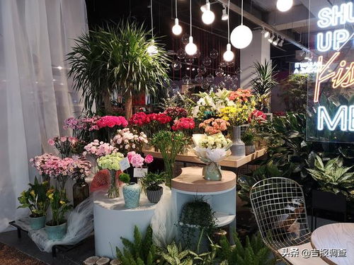  朝阳鲜花批发市场——鲜花的海洋，生活的色彩，朝阳鲜花批发市场，鲜花的海洋，生活的色彩--第1张