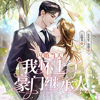  短剧闪婚当天我怀上了豪门继承人全集观看--第1张