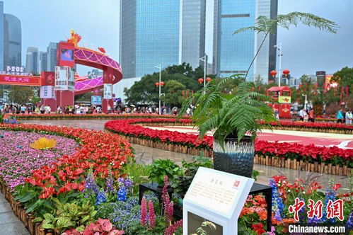  广州花市介绍--第1张