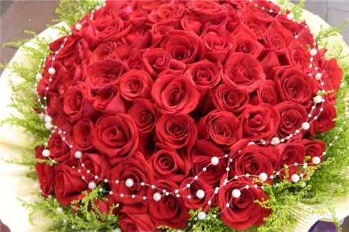  ，99朵玫瑰花语是什么意思，99朵玫瑰花语，爱你长久、爱的最高境界、只爱你一个。--第1张