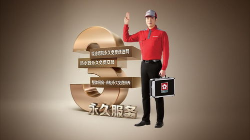  十九支玫瑰的含义，爱的永恒承诺--第1张