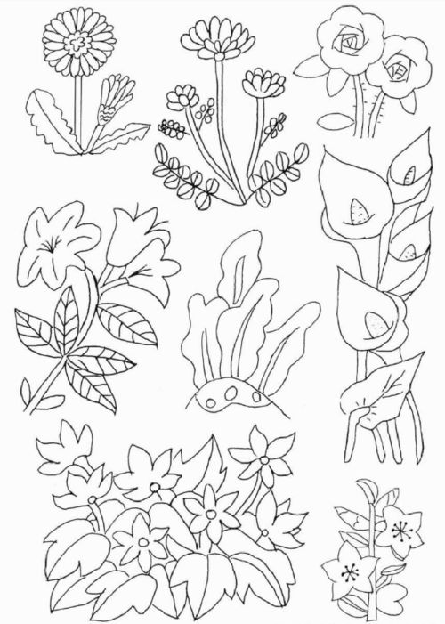  花草简笔画--第1张