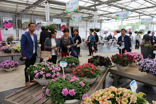  中国花卉协会花卉景观分会，引领花卉景观新潮流--第1张