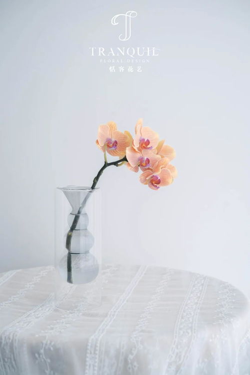  蝴蝶兰花的寓意和花语--第1张