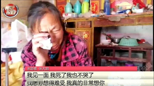  短剧母亲我才是你女儿女儿你在哪里全集观看，寻找女儿，母亲，我到底在哪里？--第1张