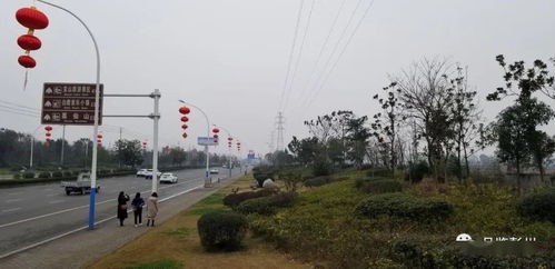  南昌苗木批发市场基地，探寻绿色经济的繁荣景象，南昌苗木批发市场，绿色经济的繁荣景象探秘--第1张