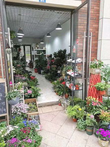  开花卉绿植店利润如何？--第1张