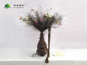  全球花木网苗木电商园，引领苗木行业新潮流--第1张