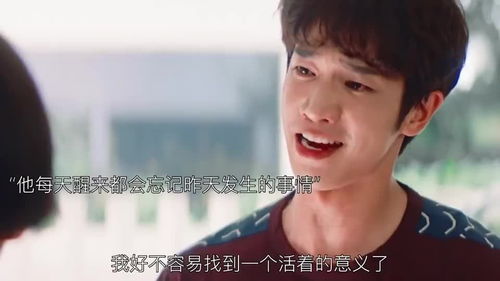  短剧我们爱过又忘记全集观看--第1张