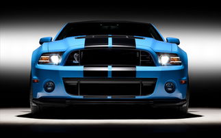 福特shelbygt500_福特Shelby眼睛蛇--第1张