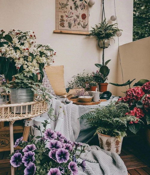  花仙居鲜花店，打造美丽与品质的完美结合--第1张