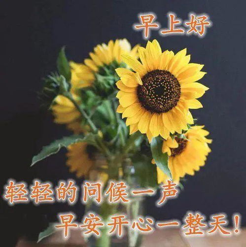  精选400张鲜花图片大全，绽放的美丽与生命--第1张