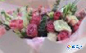  蓝玫瑰的花语，蓝玫瑰花语的浪漫爱情故事--第1张
