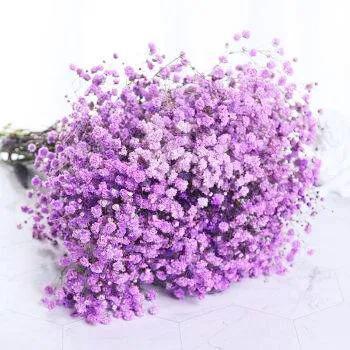  满天星蓝色的花语与寓意，满天星蓝色的花语，甘愿做配角，用爱去成全对方。寓意，思念、清纯、梦境、关怀。--第1张