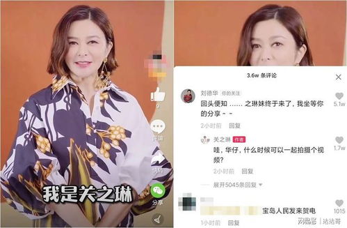  短剧拒嫁豪门，影后的绯闻老公全集观看，揭秘影后的爱情逆袭之路，影后的豪门逆袭，绯闻老公追妻忙--第1张