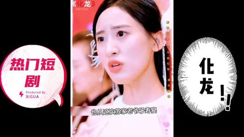  短剧化龙全集观看--第1张