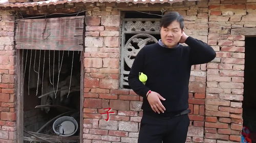  短剧我和总裁互相装穷全集观看，总裁装穷记，我和总裁互怼日常--第1张