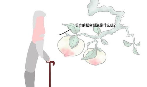 为什么那么多人玩马自达323_马自达323值得入手吗--第1张
