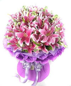  送病号花该送什么花，送病号花可以选择送康乃馨、百合花、马蹄莲、玫瑰花等，这些花都有着美好的寓意，能够表达对病人的关心和祝福。--第1张