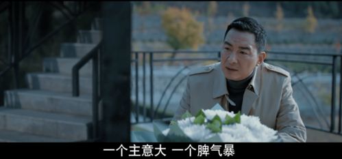  短剧我真不是败家大少我真不是败家子啊，回到古代从败家开始全集观看--第1张