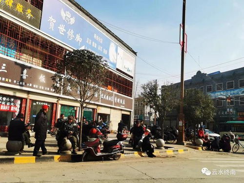  西安苗木批发市场在哪里--第1张