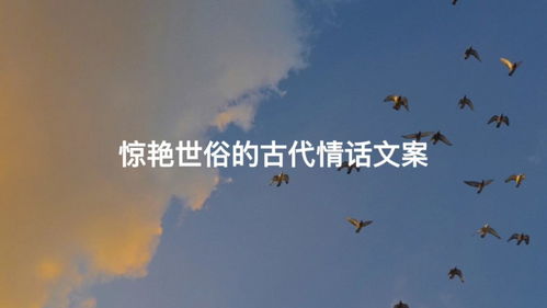  惊艳世俗的玫瑰文案，惊艳四溢的玫瑰，诉说着爱情的美好--第1张